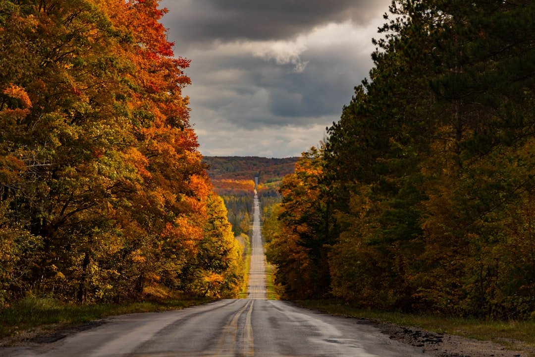Fall Car Care Checklist: Getting Ready for Winter