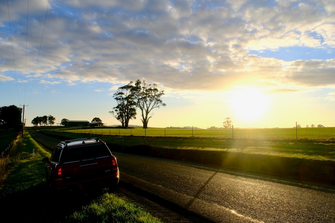 Summer Car Care Checklist: Beating the Heat