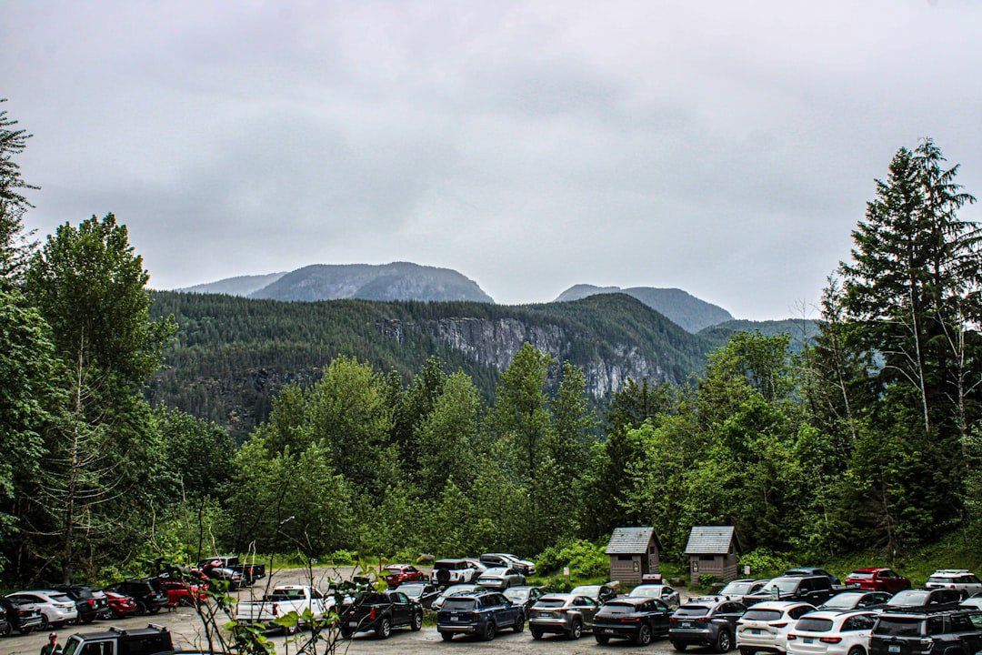 Vehicles parked at a forest trailhead