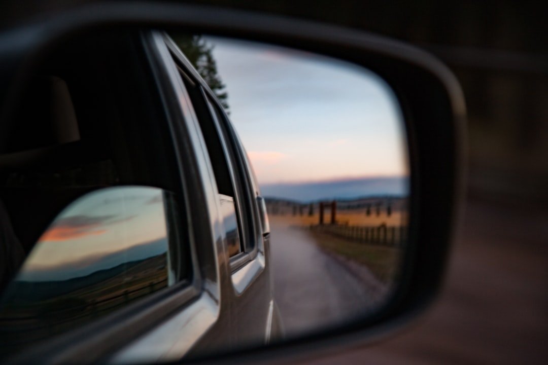 A car's side mirror and door panel