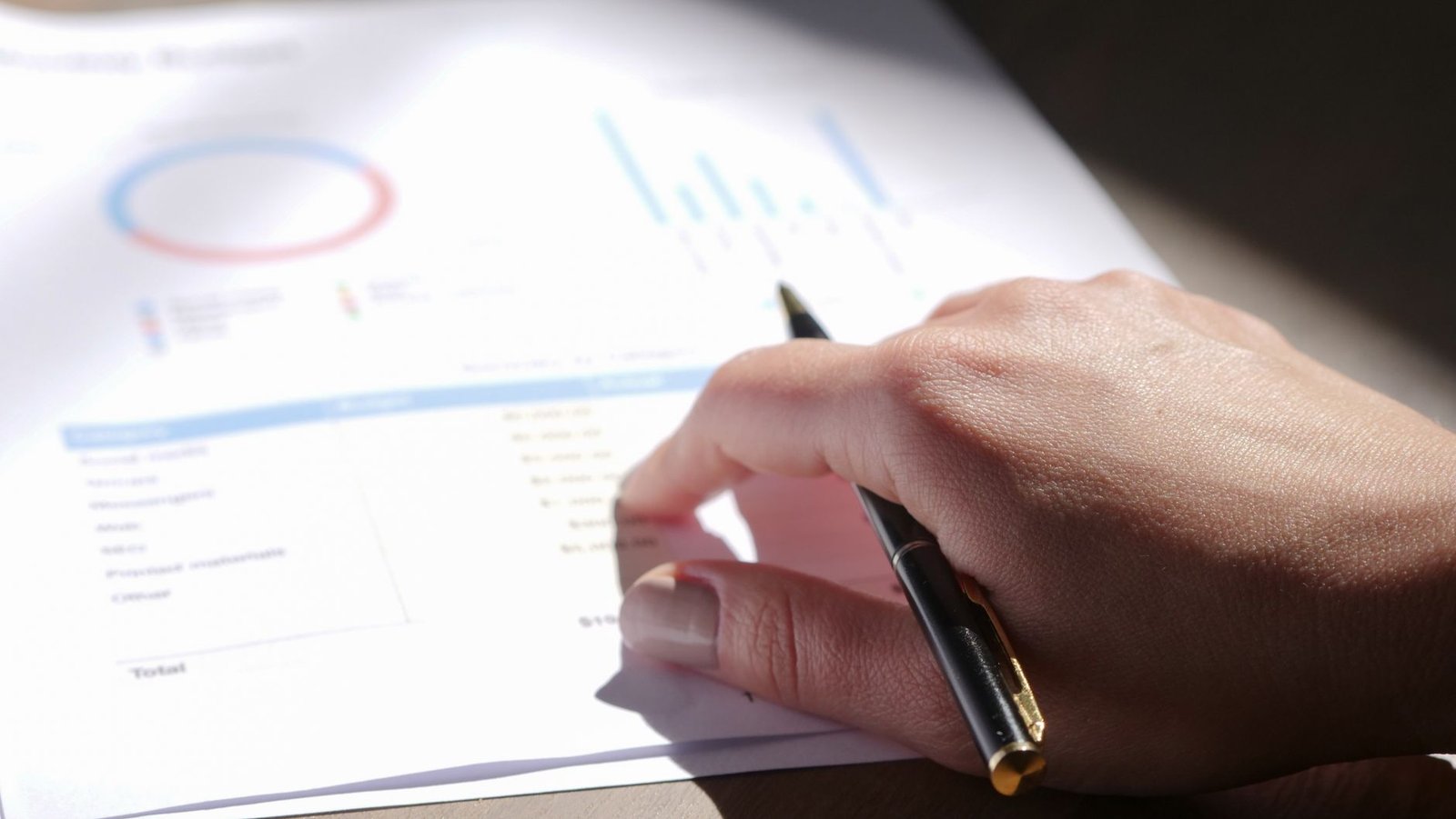 Reviewing a cost breakdown document