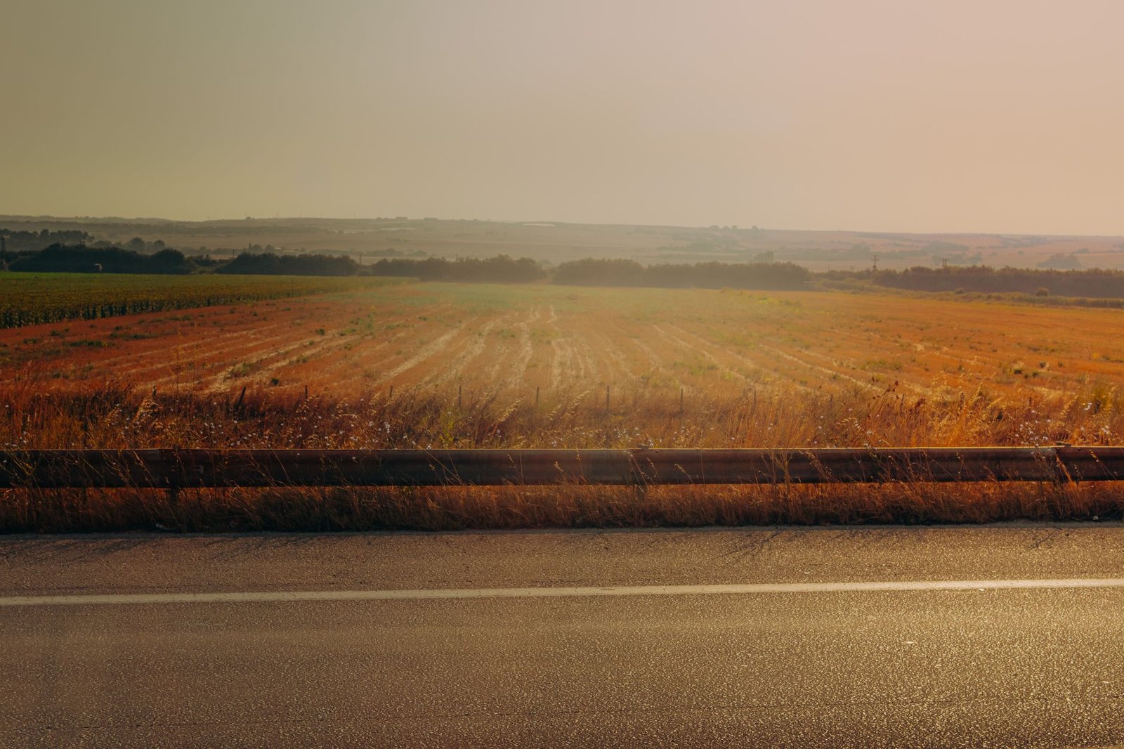 Heat haze rising along a summer roadside