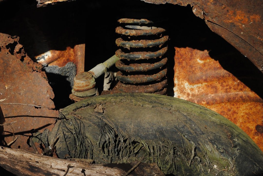 A rusted, leaking shock absorber
