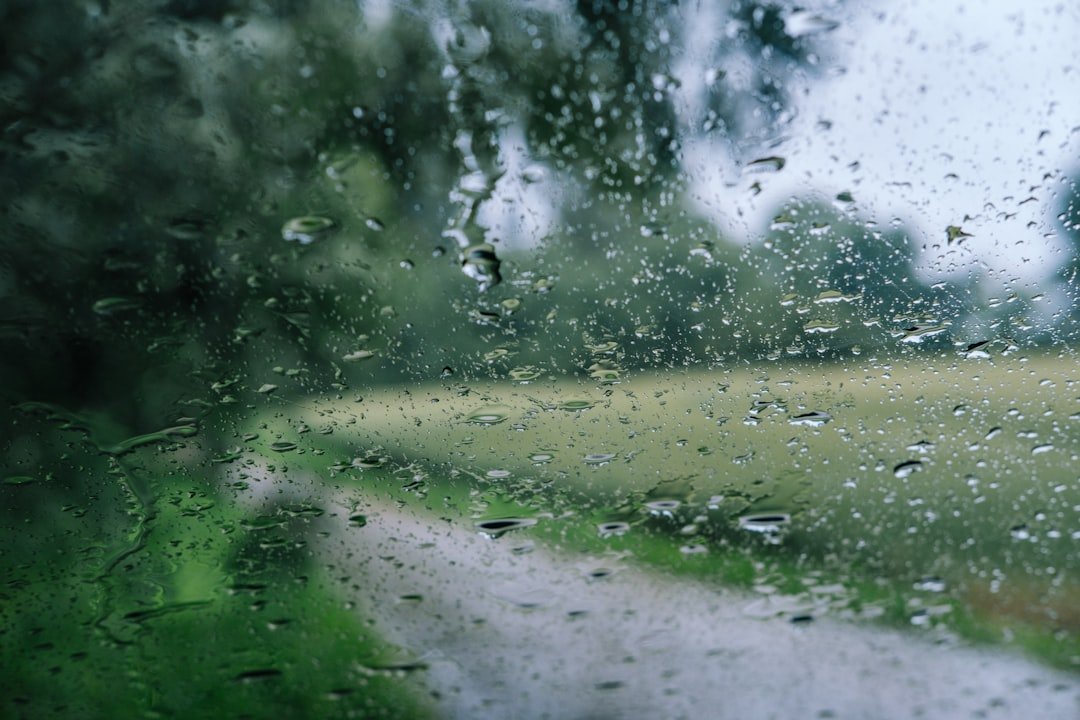 Rain drops on a car window