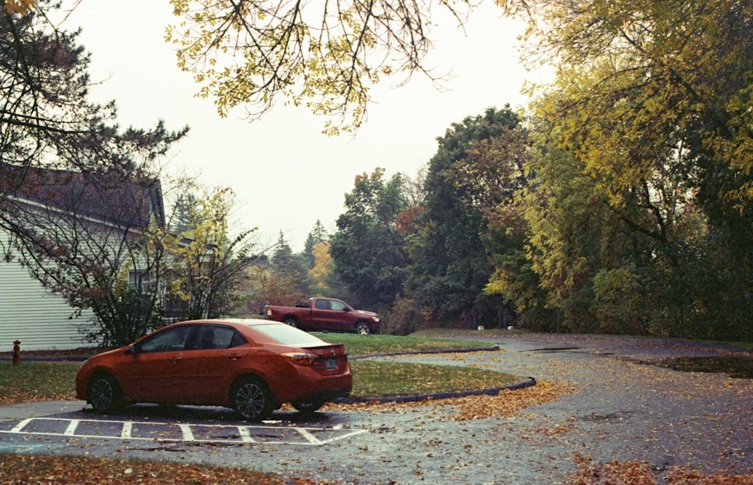Rows of similar sedans in a parking lot